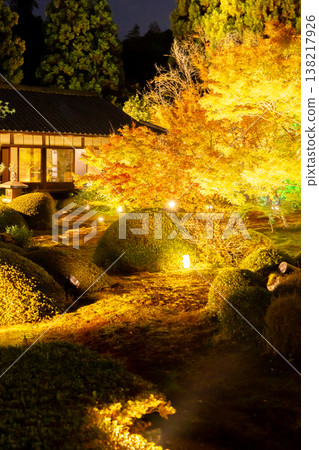 Kyoto, Higashiyama Sennyu-ji Temple's branch temple, Unryu-in (Rurizan): Autumn leaves in the temple courtyard (view from the Dairin-no-ma room), illuminated at night. Kyoto, Higashiyama Sennyu-ji Temple's branch temple, Unryu-in (Rurizan): Autumn leaves in the temple courtyard (view from the Dairin-no-ma room), illuminated at night. 138217926