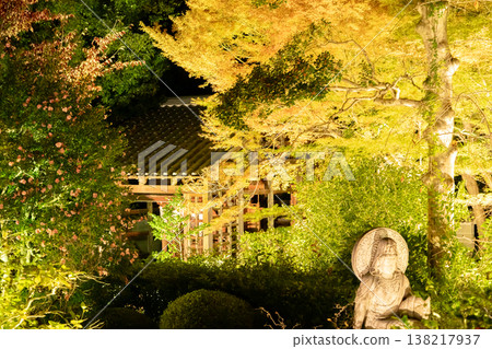Autumn leaves illuminated at the side of the main gate of Unryu-in (Rurizan), a branch temple of Sennyu-ji Temple in Higashiyama, Kyoto. Autumn leaves illuminated at the side of the main gate of Unryu-in (Rurizan), a branch temple of Sennyu-ji Temple in Higashiyama, Kyoto. 138217937