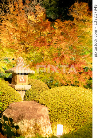 Kyoto, Higashiyama Sennyu-ji Temple's branch temple, Unryu-in (Rurizan): Autumn leaves in the temple courtyard (view from the Renge-no-ma room), illuminated at night. Kyoto, Higashiyama Sennyu-ji Temple's branch temple, Unryu-in (Rurizan): Autumn leaves in the temple courtyard (view from the Renge-no-ma room), illuminated at night. 138217949