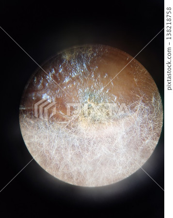 看起來像宇宙的微觀世界 看起來像宇宙的微觀世界 138218758