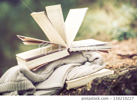 still life with a book on the background of nature 138219227