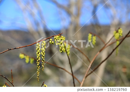 The long-awaited spring has arrived. The long-awaited spring has arrived. 138219760