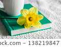 Yellow narcissus flower and green book, close-up. 138219847