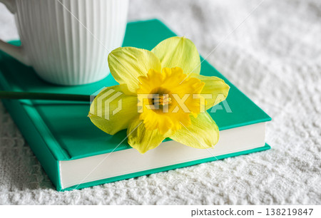 Yellow narcissus flower and green book, close-up. Yellow narcissus flower and green book, close-up. 138219847