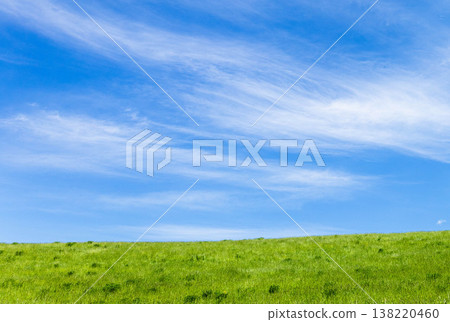 A simple landscape of refreshing early summer blue skies and the grasslands of Biei, Hokkaido. A simple landscape of refreshing early summer blue skies and the grasslands of Biei, Hokkaido. 138220460