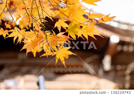 京都府長岡京市西山柳屋觀音寺院內（奧之院）的秋葉。 138220743