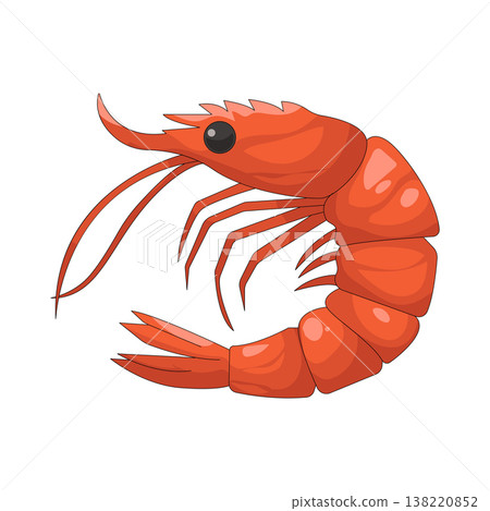Illustration of Shrimp  138220852