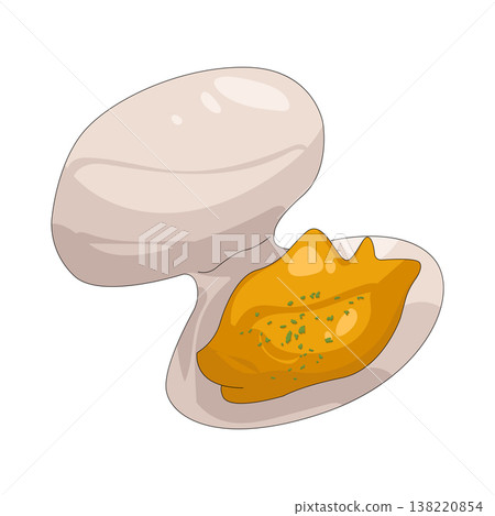 Illustration of Clam Illustration of Clam 138220854