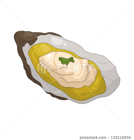 Illustration of Oyster Illustration of Oyster 138220856