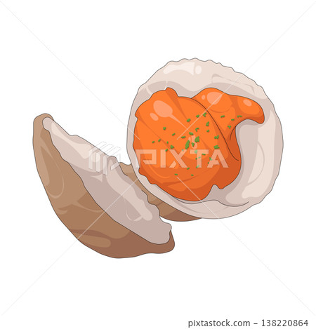 Illustration of clam Illustration of clam 138220864