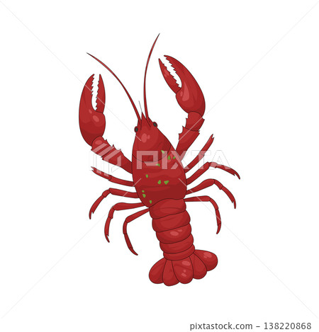Illustration of Lobster Illustration of Lobster 138220868