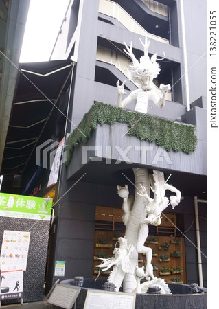 10 White Dragon sculptures at Kamegakurin Banshoji Temple 138221055