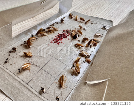 cockroach traps, a remedy for cockroaches in an apartment 138221335