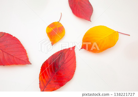 An image of autumn leaves fall An image of autumn leaves fall 138221727