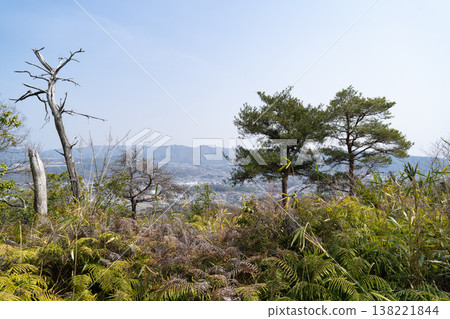 從大平嶽山頂眺望（兵庫縣川西市） 138221844