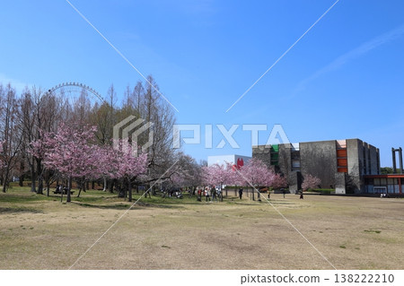 ◇ 世博紀念公園「SAKURA EXPO」/1970年世博會展館 [Suita City] 138222210