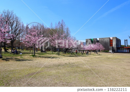 ◇ 世博紀念公園「SAKURA EXPO」/1970年世博會展館 [Suita City] 138222211
