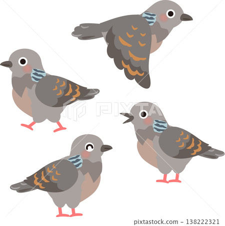 A set of illustrations of Oriental Turtle Doves A set of illustrations of Oriental Turtle Doves 138222321