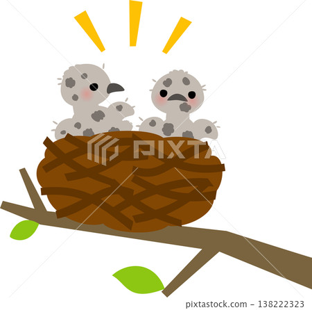 A gray chick in a bird's nest A gray chick in a bird's nest 138222323