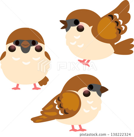 三隻麻雀 三隻麻雀 138222324