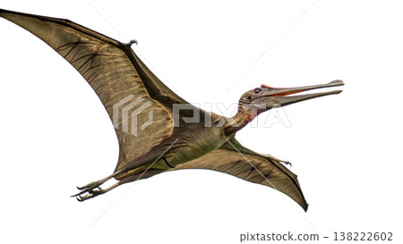 Isolated Pterodactyl soars in flight, showcasing prehistoric animal. Isolated Pterodactyl soars in flight, showcasing prehistoric animal. 138222602
