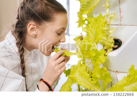 Young adorable girl enjoying fresh healthy lettuce directly from innovative home hydroponic vertical garden, embracing sustainable urban farming and healthy eating habits. Young adorable girl enjoying fresh healthy lettuce directly from innovative home hydroponic vertical garden, embracing sustainable urban farming and healthy eating habits. 138222668