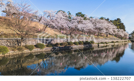 雪久山公園水面上倒映著櫻花。 雪久山公園水面上倒映著櫻花。 138222707