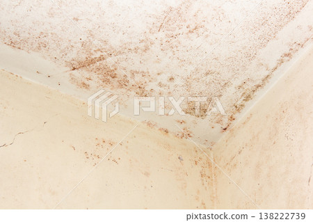 Extensive mold growth and paint cracks on the bathroom ceiling (bathroom humidity problems/unhygienic conditions) Extensive mold growth and paint cracks on the bathroom ceiling (bathroom humidity problems/unhygienic conditions) 138222739