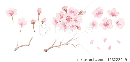 一套水彩插畫,描繪了櫻花花瓣和枝條。 一套水彩插畫,描繪了櫻花花瓣和枝條。 138222949