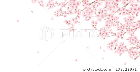 Watercolor cherry blossom illustration header frame 138222951