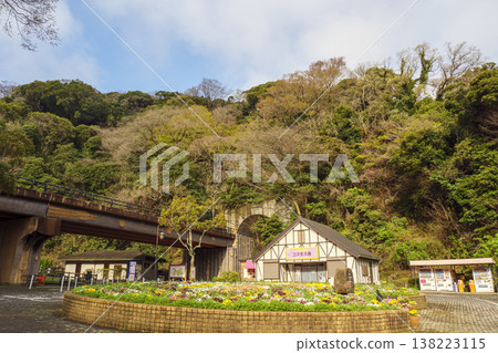 Spring at Kurihama Flower Park Spring at Kurihama Flower Park 138223115
