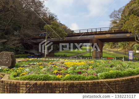 Spring at Kurihama Flower Park 138223117