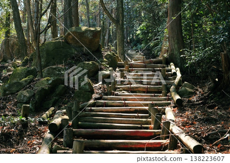 一條陡峭的山路，設有木製階梯。 138223607