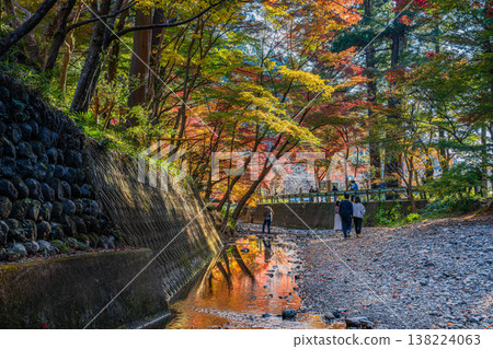 Autumn foliage at Oguni Shrine, Ichinomiya, Totomi Province, Morimachi (Shizuoka Prefecture) 138224063