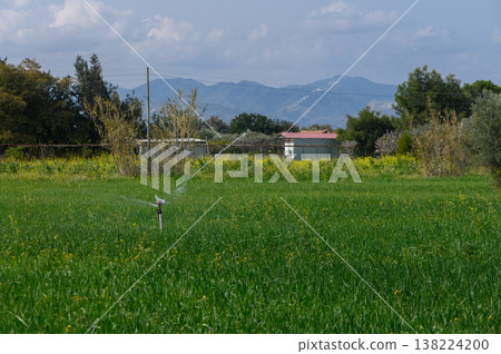 Lush green field with a sprinkler system in action under a blue sky and distant mountains 138224200