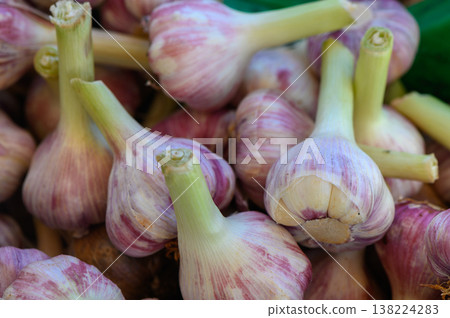 Freshly harvested garlic cloves displayed in a vibrant farmer's market during the early morning hours of a sunny day 138224283