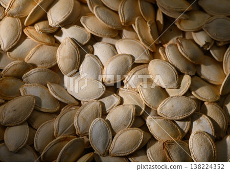 Harvesting pumpkin seeds reveals a treasure trove of natural delicacies on a sunny autumn day Harvesting pumpkin seeds reveals a treasure trove of natural delicacies on a sunny autumn day 138224352
