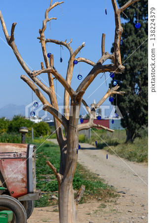 Charming rustic tree adorned with blue glass charms in a peaceful country setting surrounded by vibrant greenery Charming rustic tree adorned with blue glass charms in a peaceful country setting surrounded by vibrant greenery 138224379
