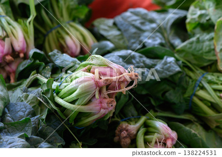 Freshly harvested greens and root vegetables at a vibrant local market in the morning sun 138224531