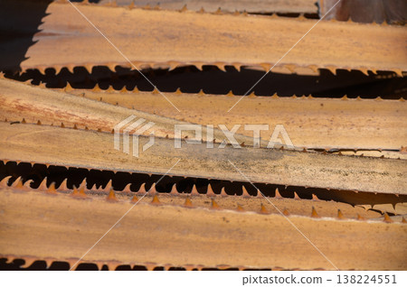 Textured dry date palm leaf for tropical background 138224551