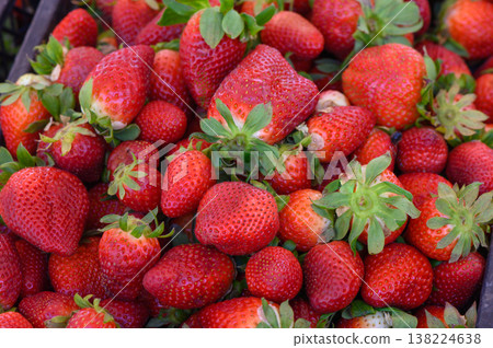 Fresh strawberries nestled together at a bustling farmers market in early summer, ready for eager buyers to enjoy their sweet flavor Fresh strawberries nestled together at a bustling farmers market in early summer, ready for eager buyers to enjoy their sweet flavor 138224638