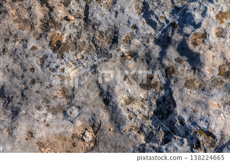 Natural textures showcase unique patterns on a rocky surface during daylight Natural textures showcase unique patterns on a rocky surface during daylight 138224665