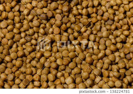 Discovering the texture and richness of kibble in a close-up view of pet food Discovering the texture and richness of kibble in a close-up view of pet food 138224781