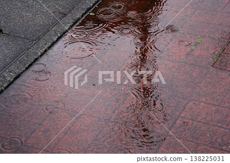 Cobbled with rain Cobbled with rain 138225031