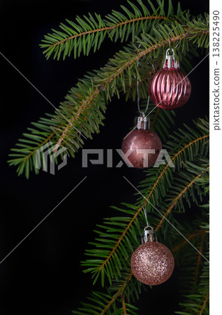 Composition of Three Pink Ornaments on Spruce Branch 138225490