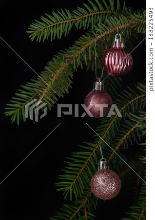 Three Delicate Pink Baubles on Fluffy Spruce Branch Three Delicate Pink Baubles on Fluffy Spruce Branch 138225493