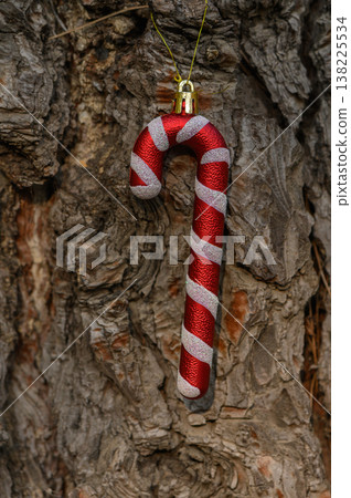 Red-and-White Candy Cane on Christmas Tree 138225534
