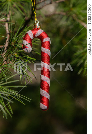 Vintage Candy Cane on Christmas Tree 138225560