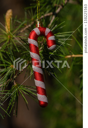 Candy Cane in Winter Lighting 138225563