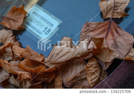 Dry Autumn Leaves on a Car Windshield Dry Autumn Leaves on a Car Windshield 138225706